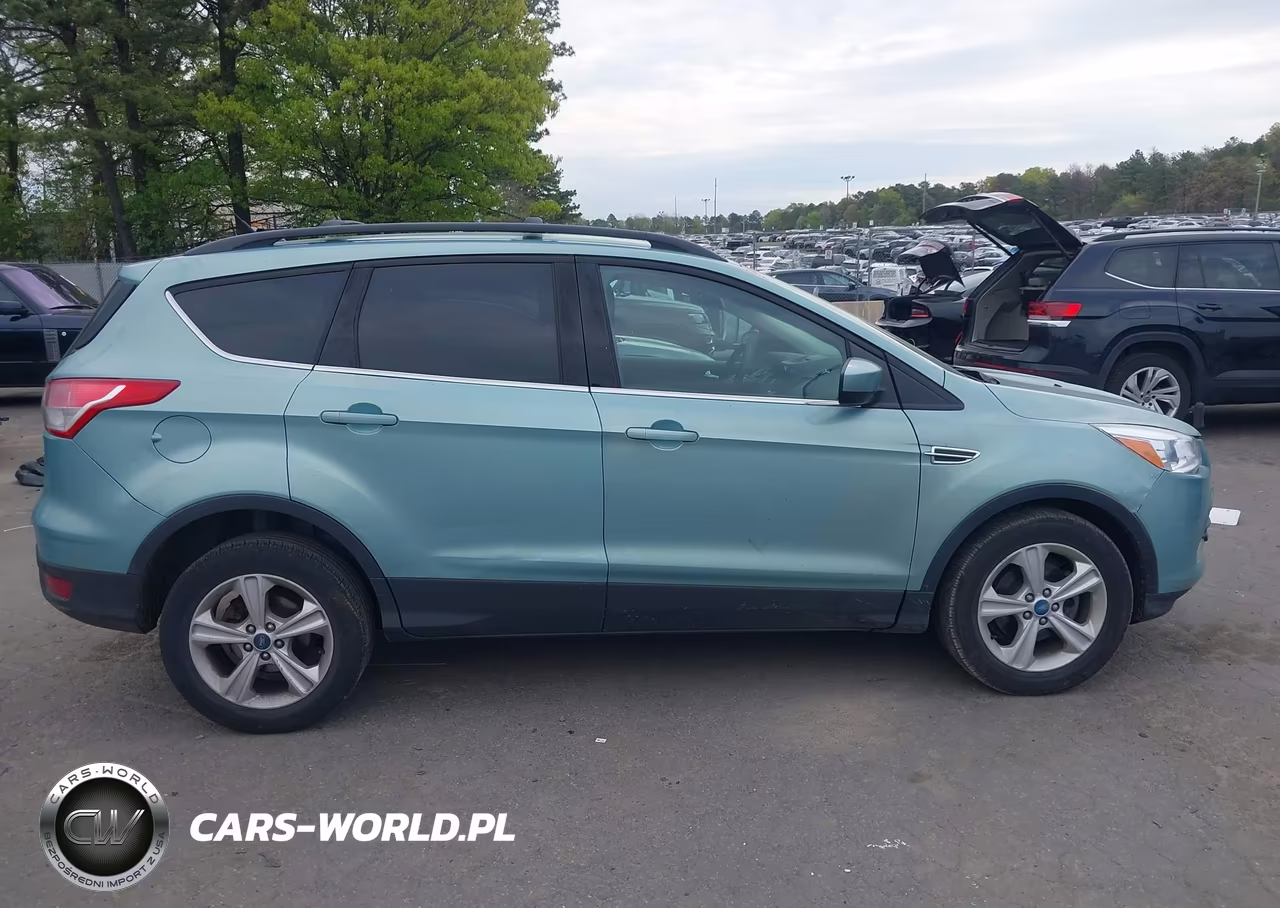 2013 Ford Escape Se VIN:1FMCU0GX1DUA39081 - 13
