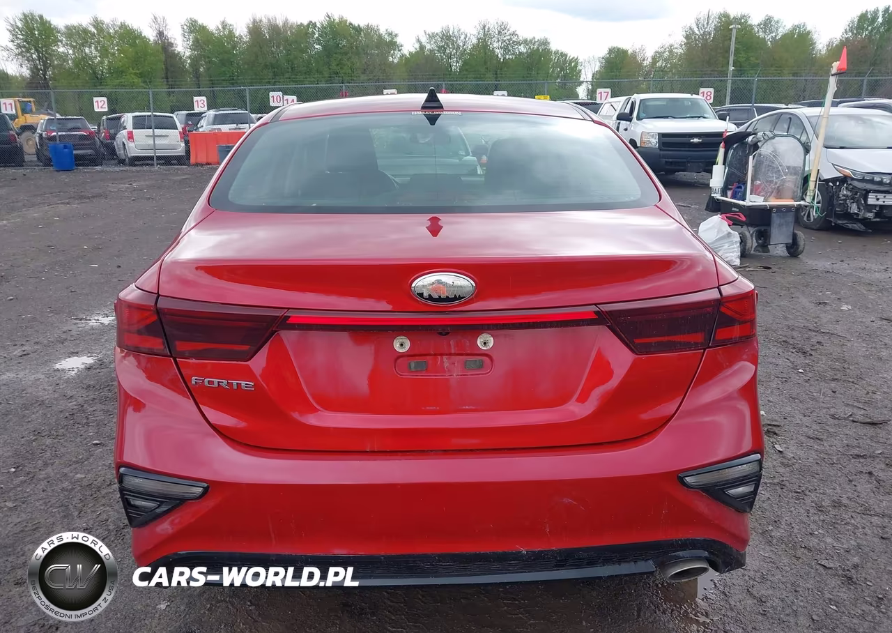 2020 Kia Forte Lxs VIN:3KPF24AD0LE148965 - 17