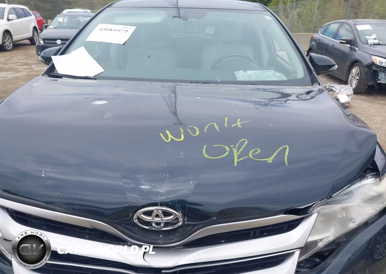 2014 Toyota Venza Le VIN:4T3BA3BB0EU050664 - 10