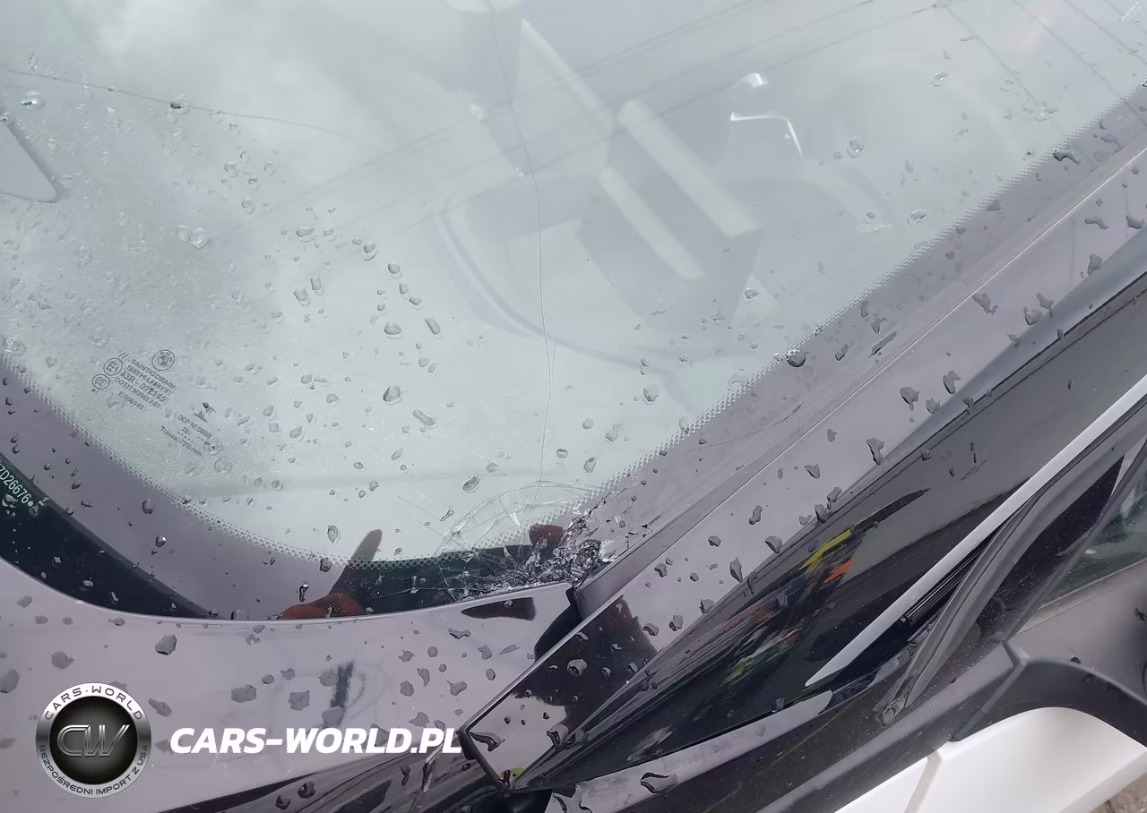 2019 BMW I3 120Ah VIN:WBY8P2C51K7D26676 - 22
