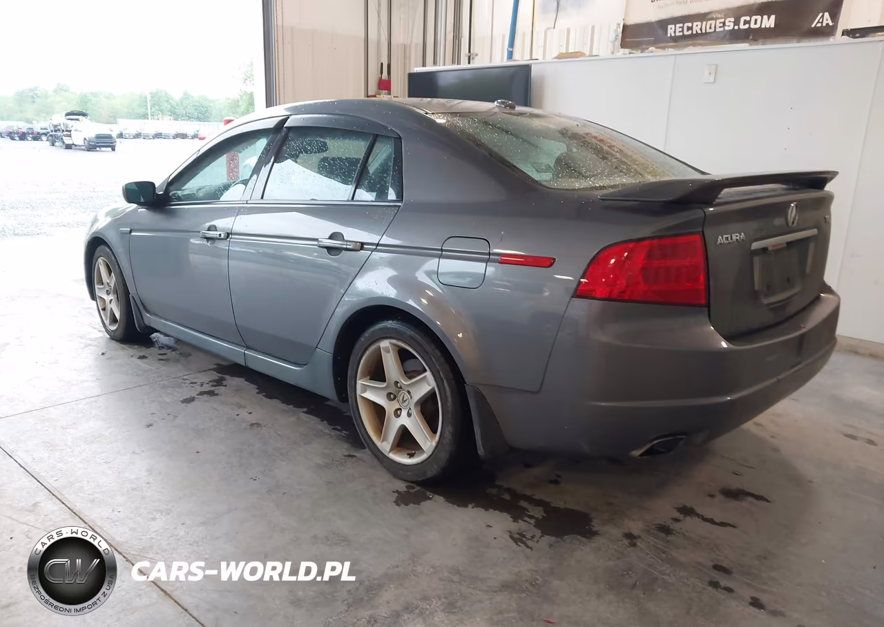 2004 Acura Tl VIN:19UUA66294A031291 - 3