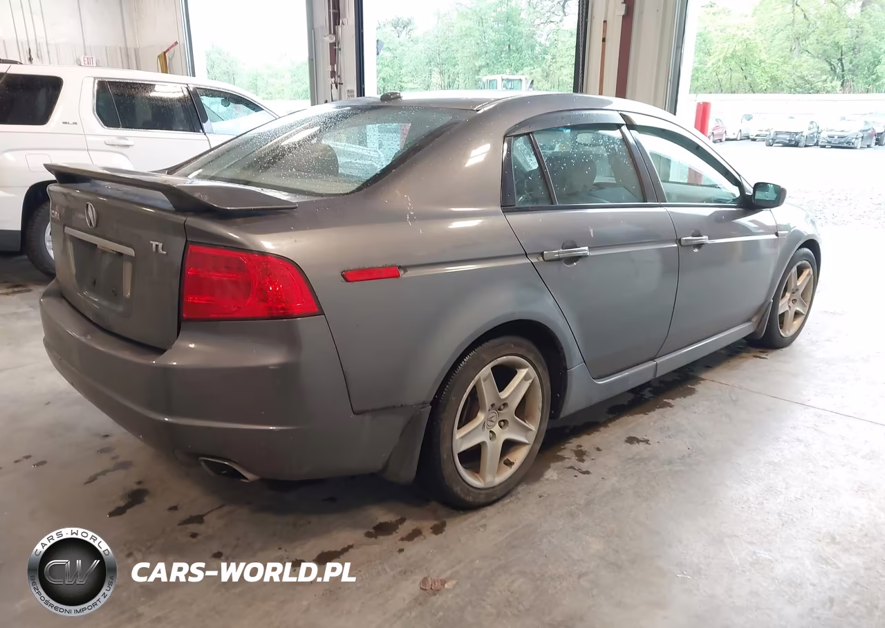 2004 Acura Tl VIN:19UUA66294A031291 - 4