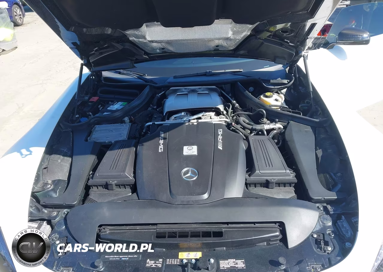 2018 Mercedes-Benz Amg Gt VIN:WDDYK7HA1JA021296 - 10