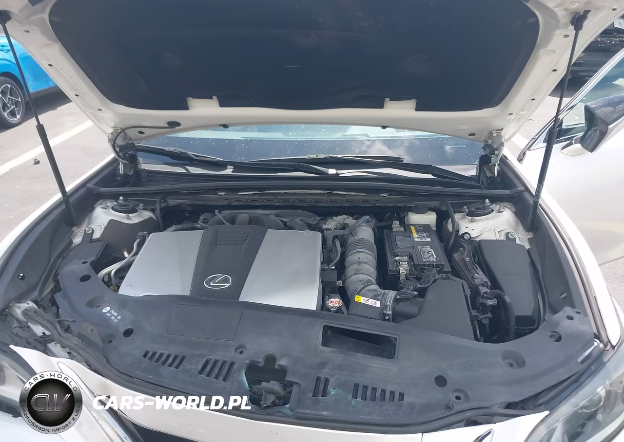 2019 Lexus Es 350 VIN:58ABZ1B12KU031213 - 10
