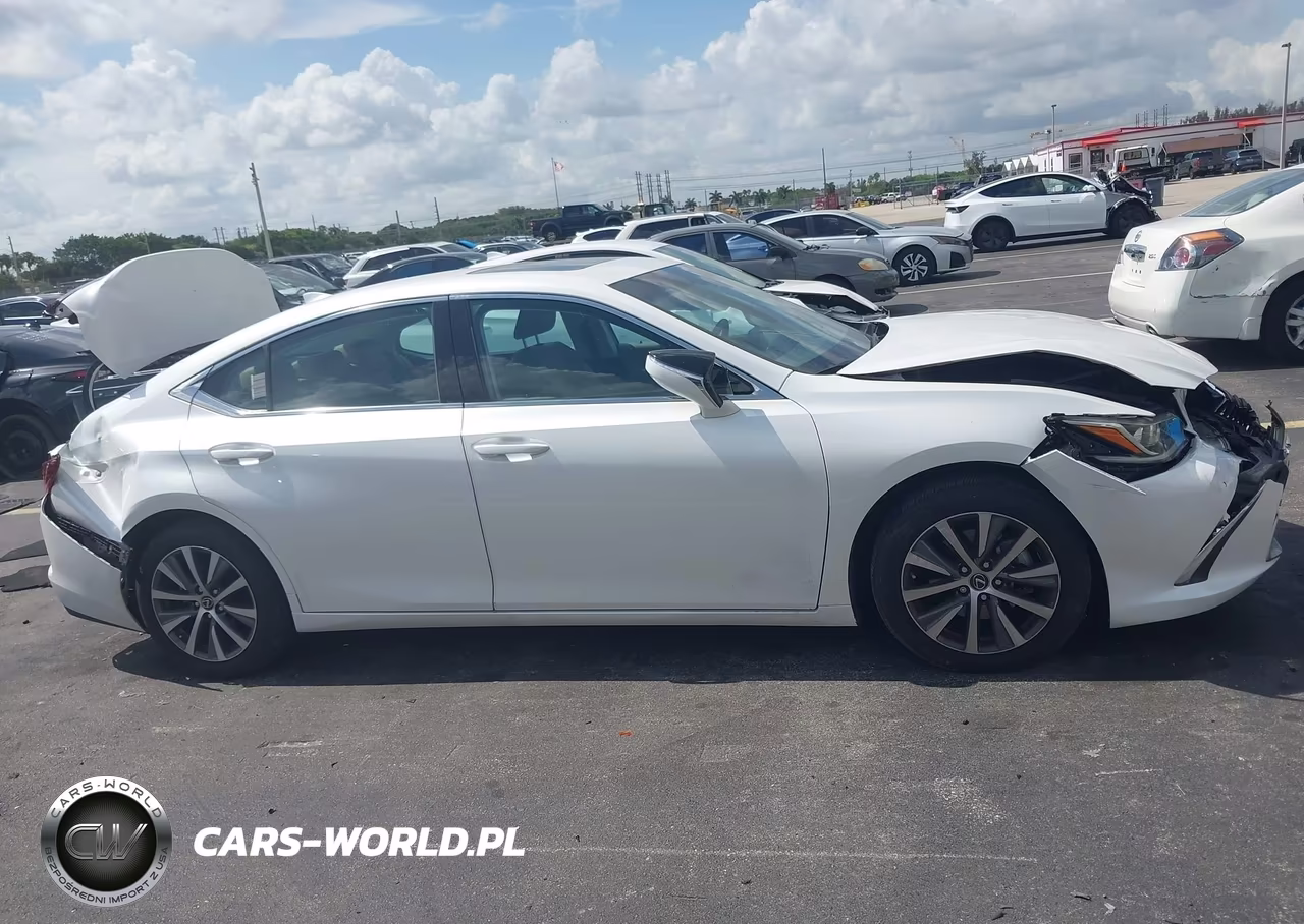 2019 Lexus Es 350 VIN:58ABZ1B12KU031213 - 13