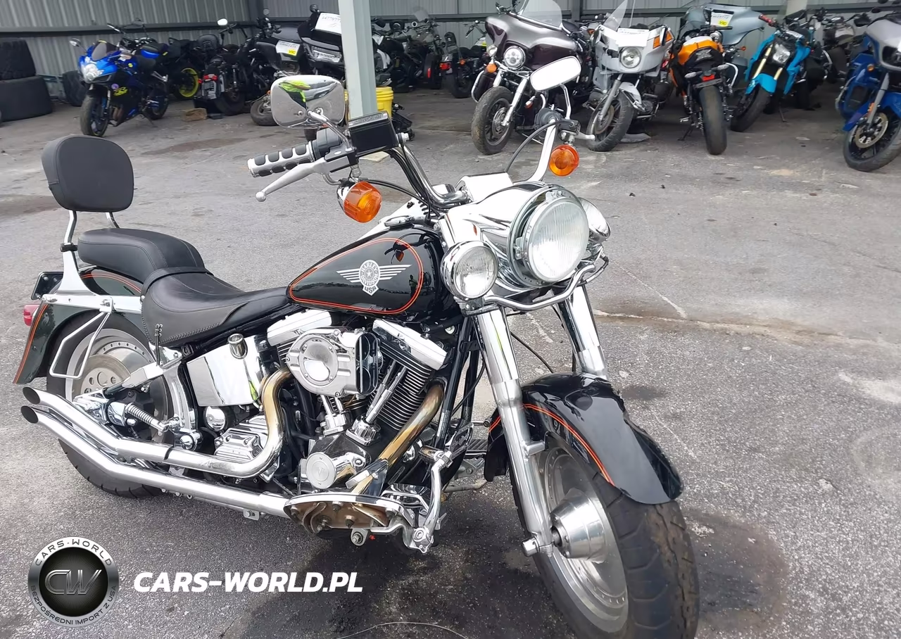 1995 Harley-Davidson Flstf – zdjęcie 1 z 12