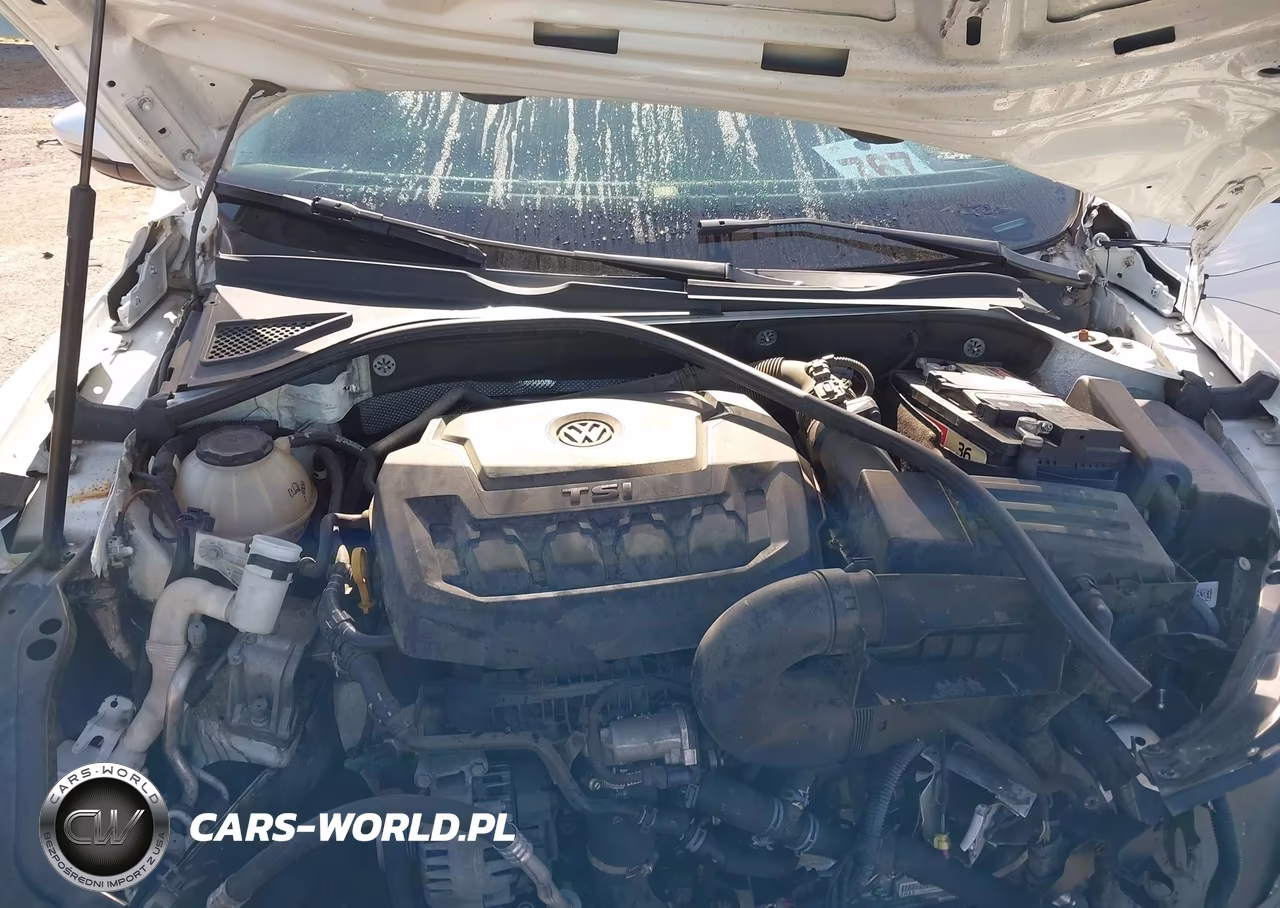 2019 Volkswagen Passat 2.0T Wolfsburg Edition VIN:1VWLA7A3XKC013610 - 10