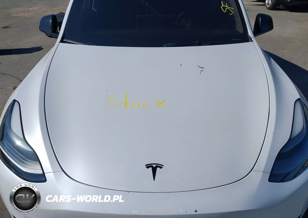 2023 Tesla Model Y Awd-Long Range Dual Motor All-Wheel Drive VIN:7SAYGDEE3PA187305 - 10