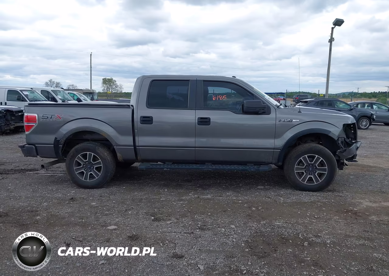2014 Ford F-150 Stx VIN:1FTFW1EF8EKF03203 - 13