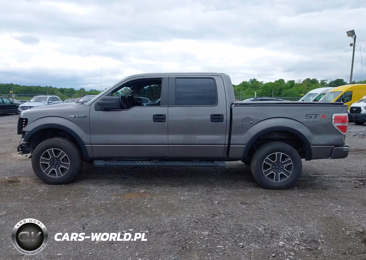 2014 Ford F-150 Stx VIN:1FTFW1EF8EKF03203 - 14