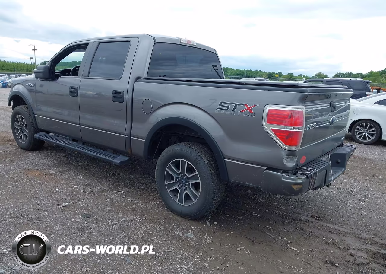2014 Ford F-150 Stx VIN:1FTFW1EF8EKF03203 - 3
