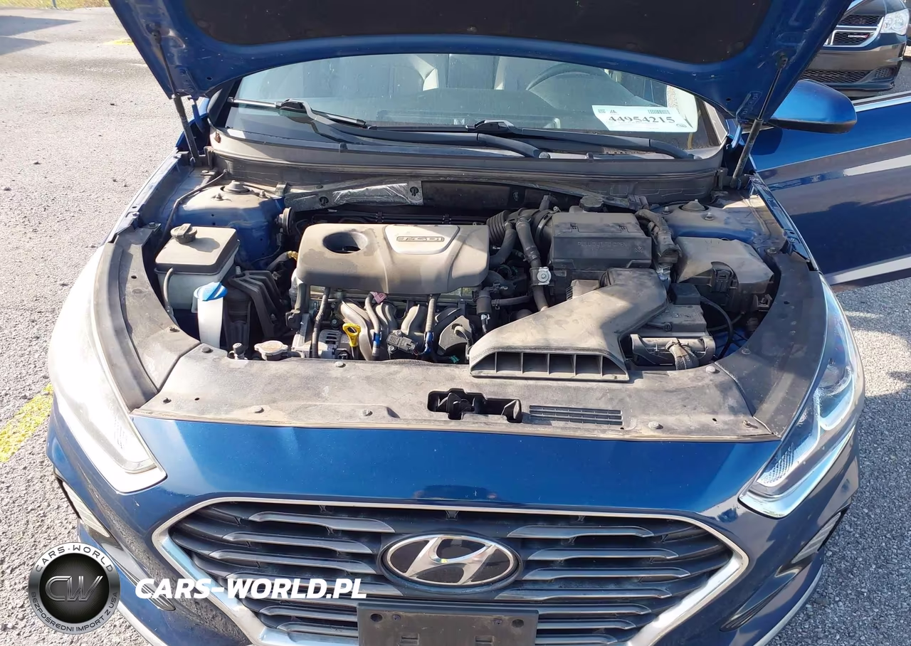 2019 Hyundai Sonata Eco VIN:5NPE24AA2KH774786 - 10