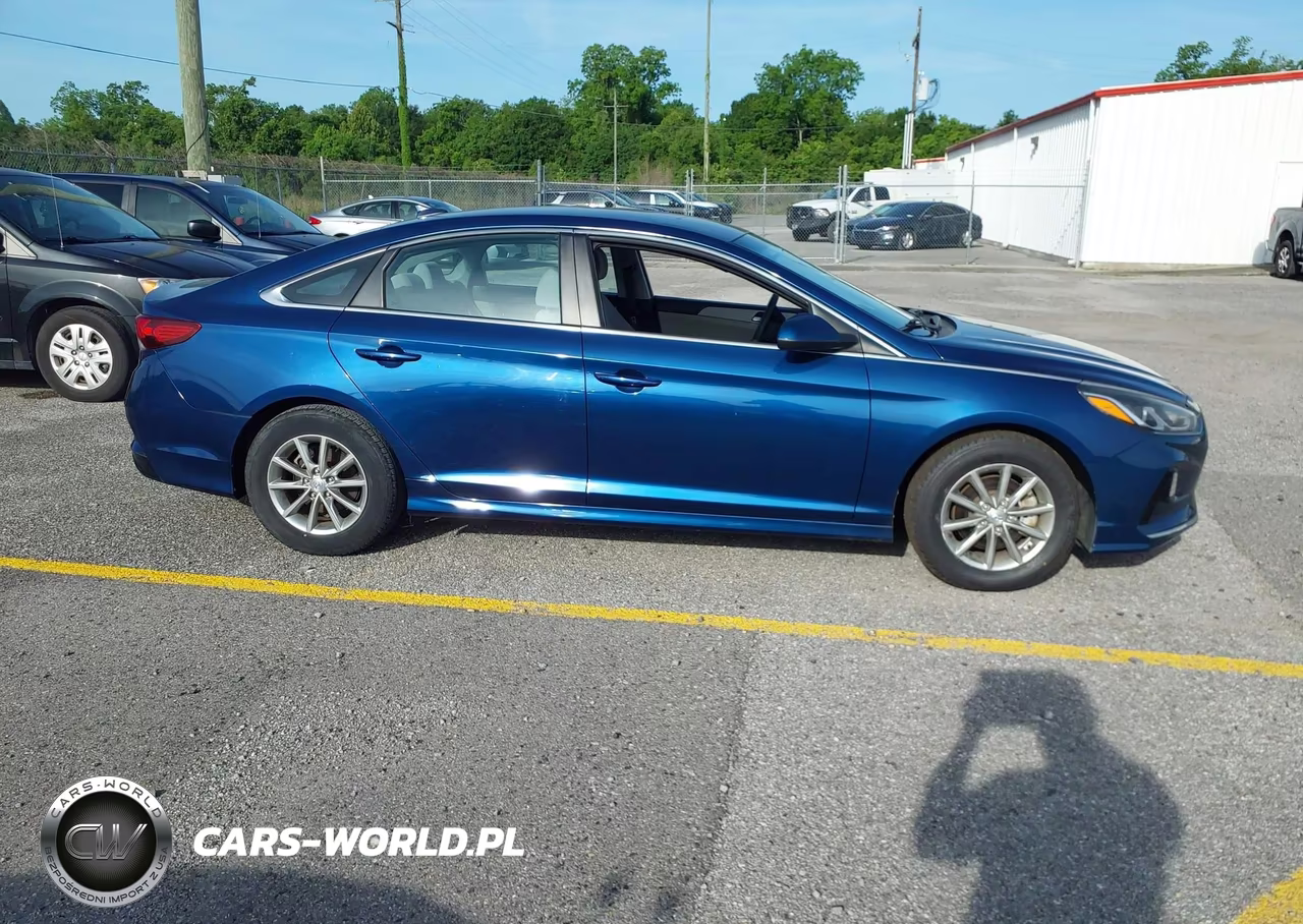 2019 Hyundai Sonata Eco VIN:5NPE24AA2KH774786 - 18