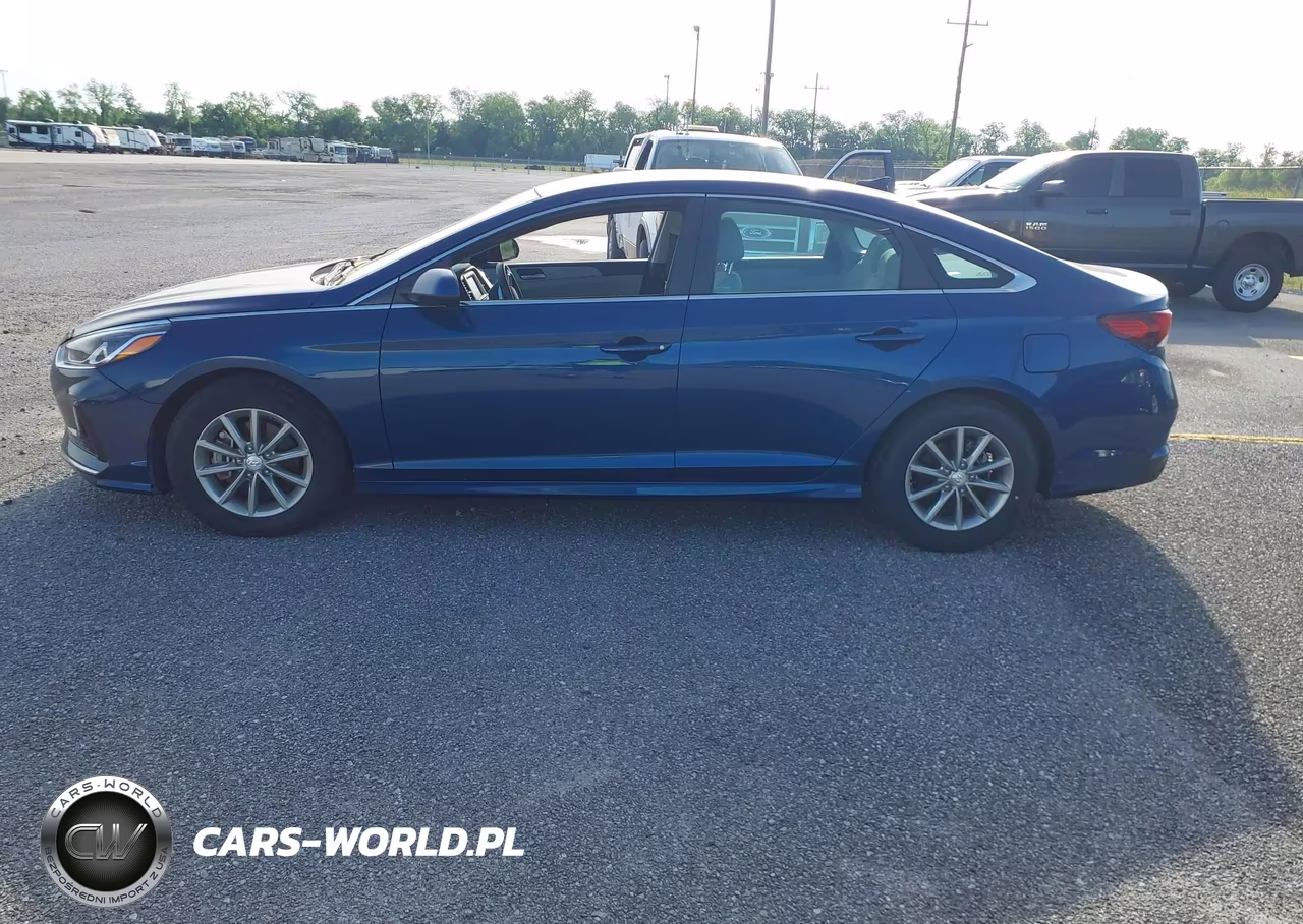 2019 Hyundai Sonata Eco VIN:5NPE24AA2KH774786 - 19