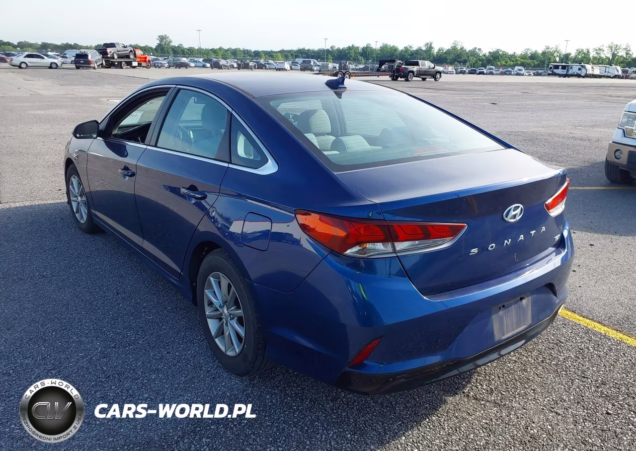 2019 Hyundai Sonata Eco VIN:5NPE24AA2KH774786 - 3