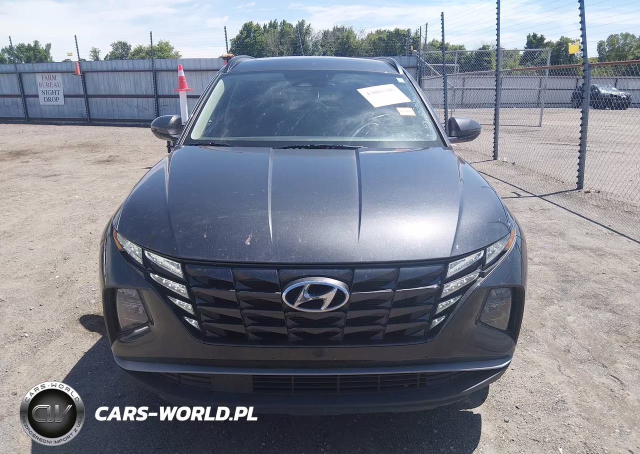 2024 Hyundai Tucson Sel VIN:5NMJF3DE1RH354715 - 12