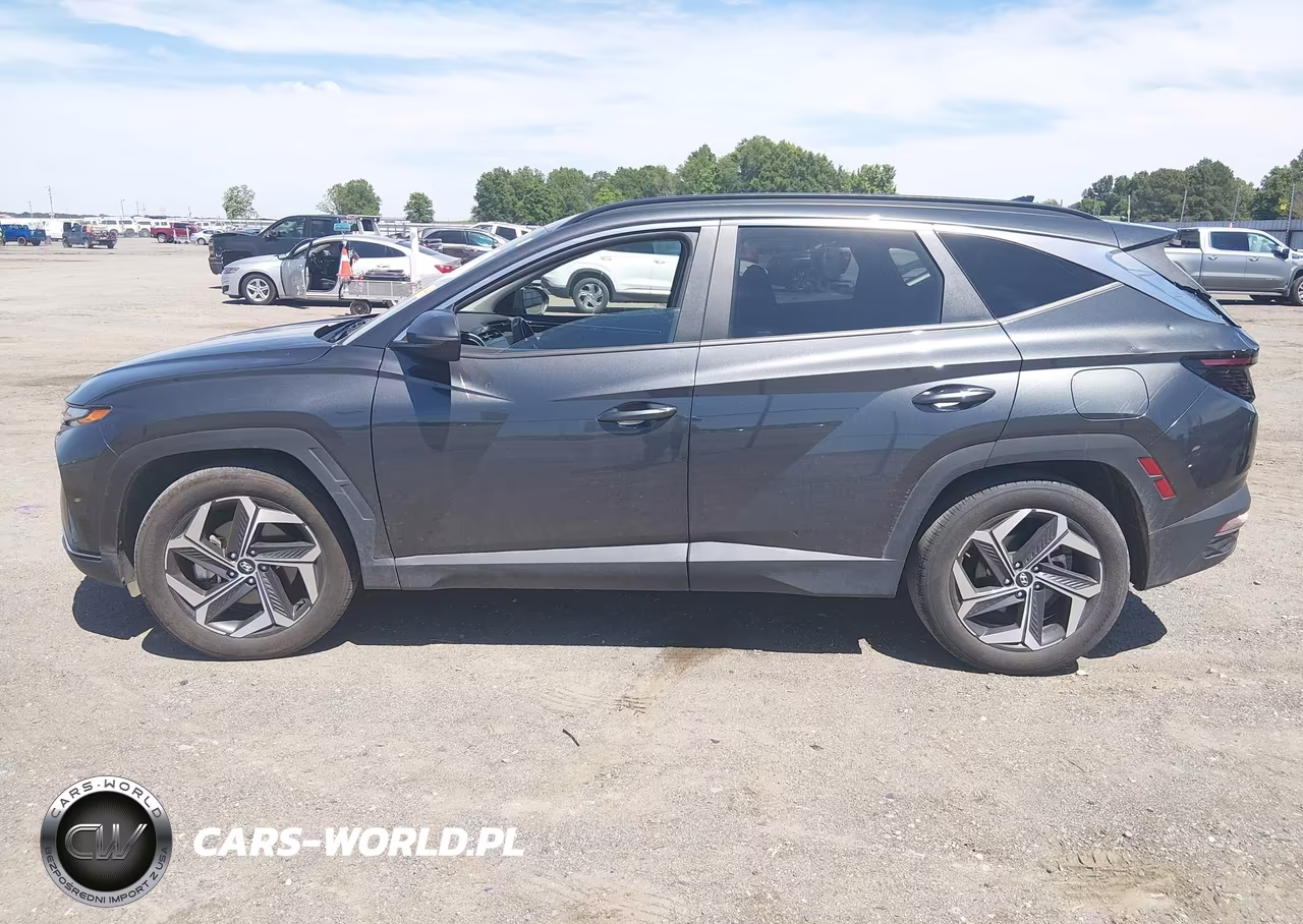 2024 Hyundai Tucson Sel VIN:5NMJF3DE1RH354715 - 14