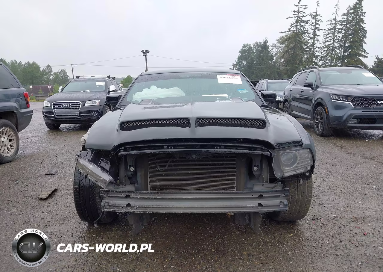 2014 Ford Mustang Gt VIN:1ZVBP8CF5E5255088 - 13