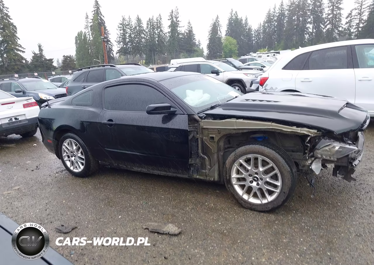 2014 Ford Mustang Gt VIN:1ZVBP8CF5E5255088 - 14