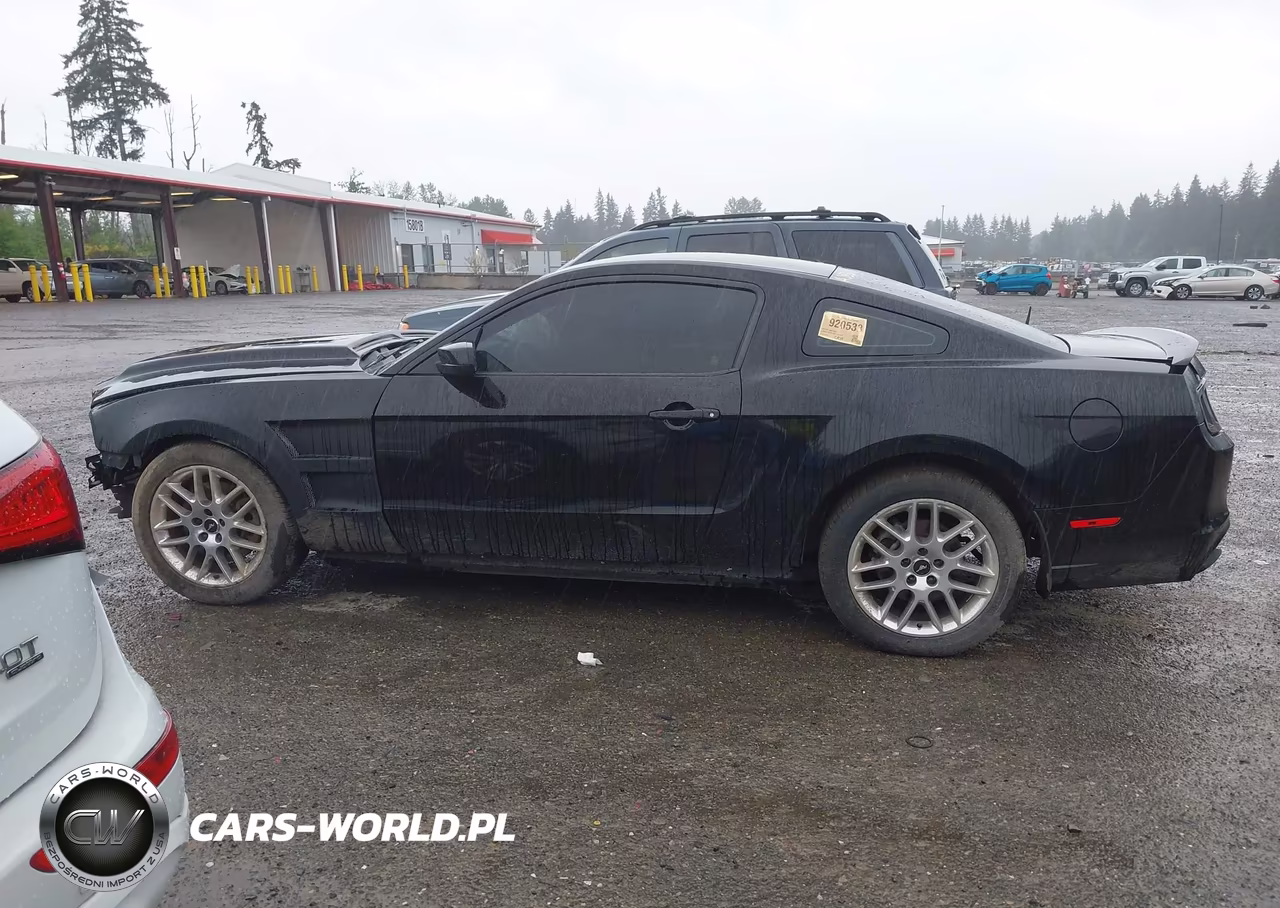 2014 Ford Mustang Gt VIN:1ZVBP8CF5E5255088 - 15
