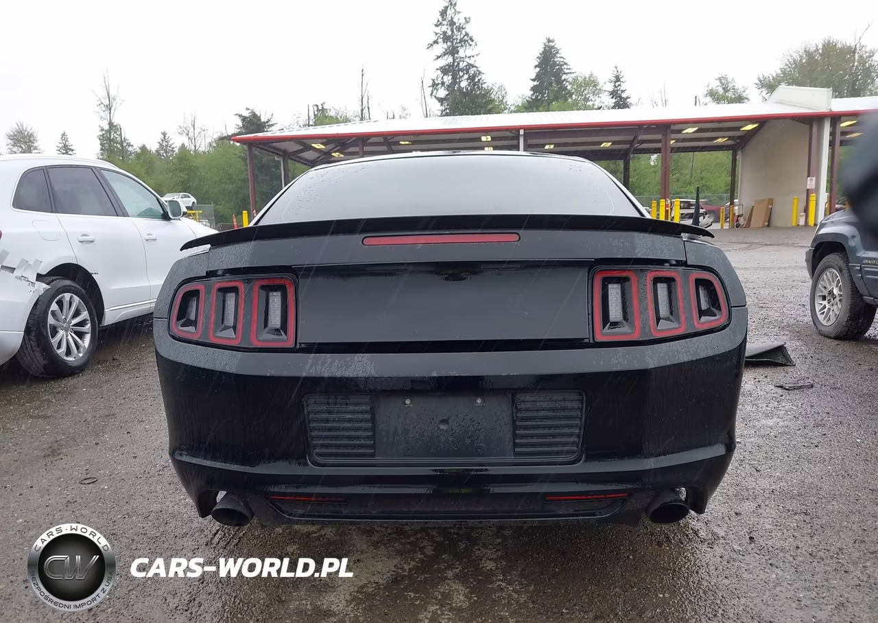 2014 Ford Mustang Gt VIN:1ZVBP8CF5E5255088 - 17