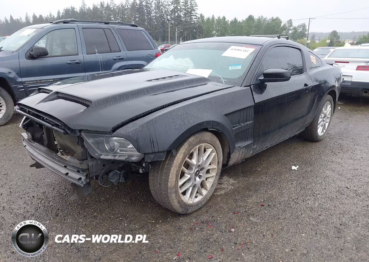 2014 Ford Mustang Gt VIN:1ZVBP8CF5E5255088 - 2