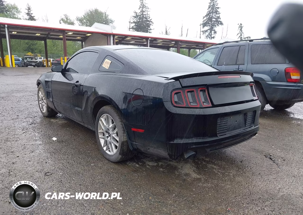 2014 Ford Mustang Gt VIN:1ZVBP8CF5E5255088 - 3