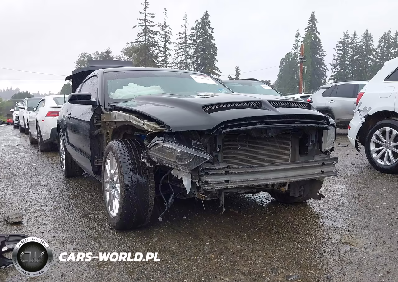 2014 Ford Mustang Gt VIN:1ZVBP8CF5E5255088 - 6