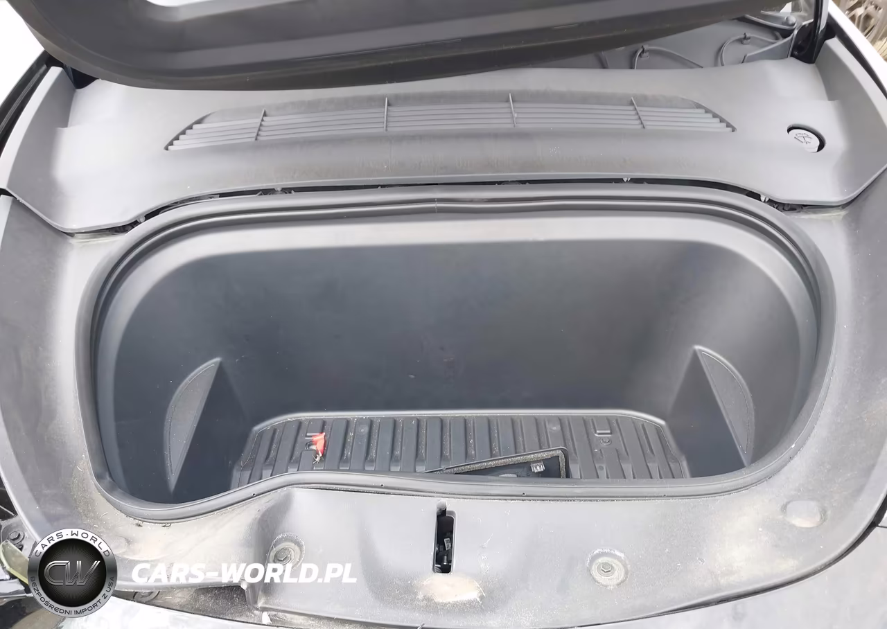 2024 Tesla Model Y Performance Dual Motor All-Wheel Drive VIN:7SAYGDEF6RA304094 - 10