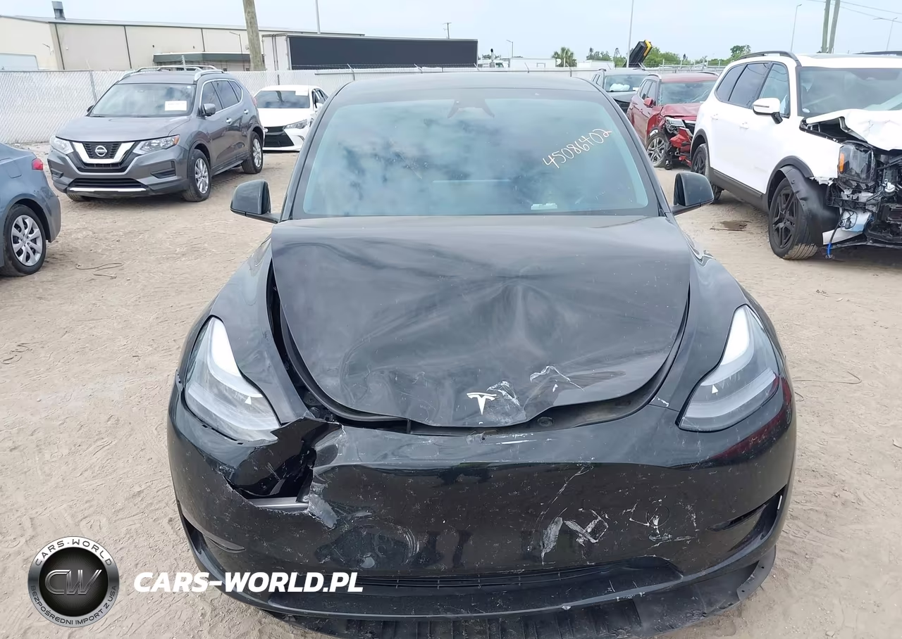 2024 Tesla Model Y Performance Dual Motor All-Wheel Drive VIN:7SAYGDEF6RA304094 - 6