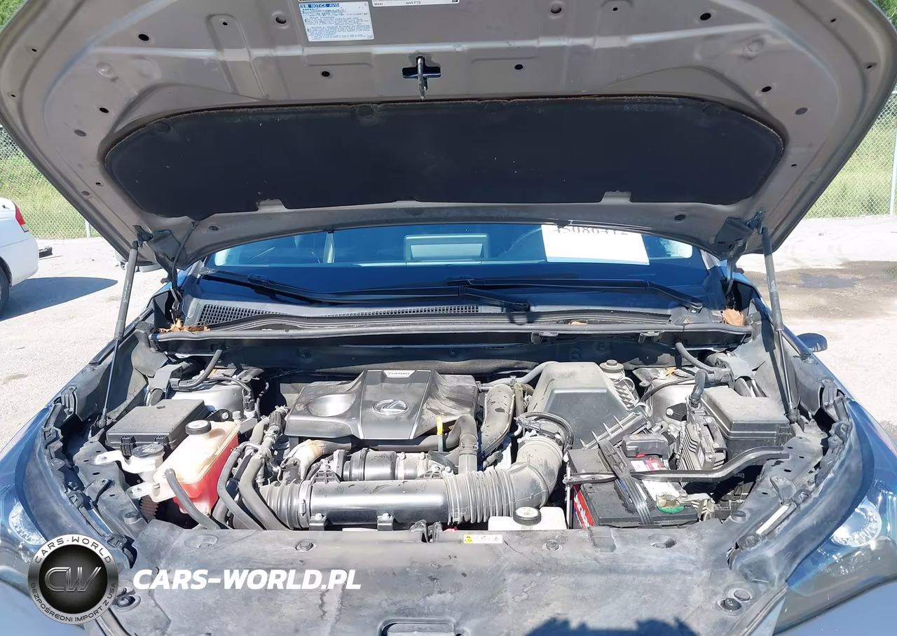 2019 Lexus Nx 300 VIN:JTJYARBZ2K2148719 - 10