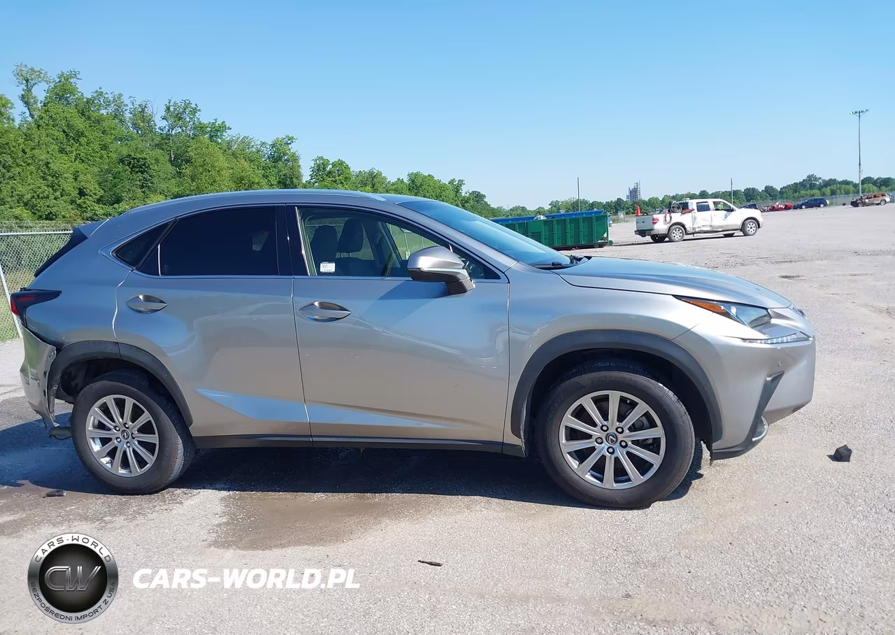 2019 Lexus Nx 300 VIN:JTJYARBZ2K2148719 - 13