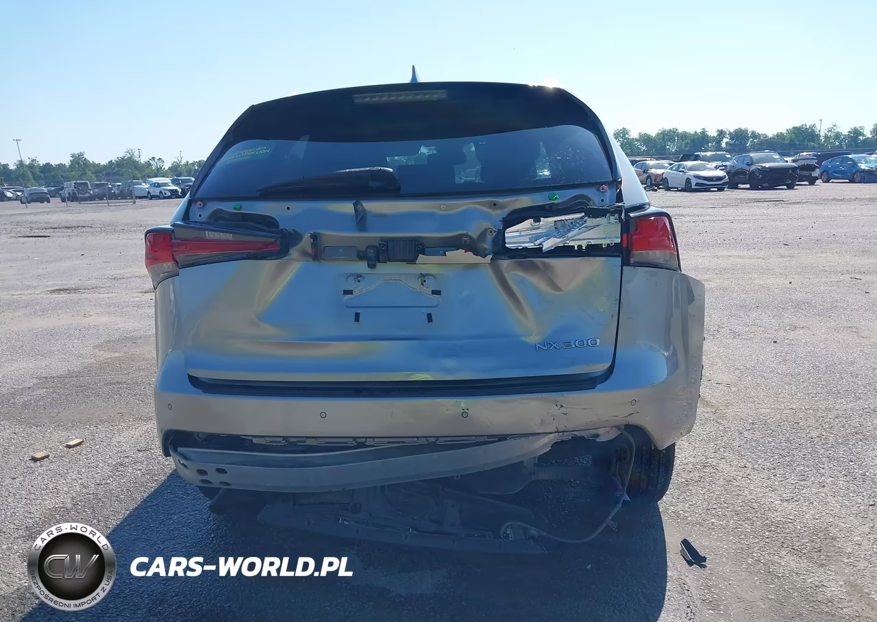 2019 Lexus Nx 300 VIN:JTJYARBZ2K2148719 - 16