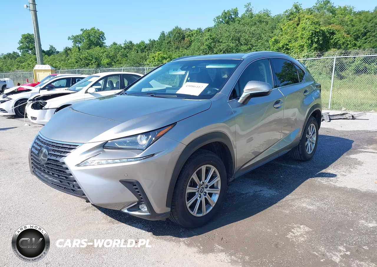 2019 Lexus Nx 300 VIN:JTJYARBZ2K2148719 - 2