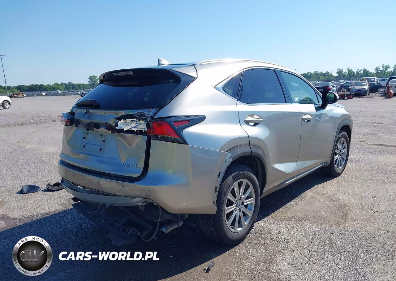 2019 Lexus Nx 300 VIN:JTJYARBZ2K2148719 - 4