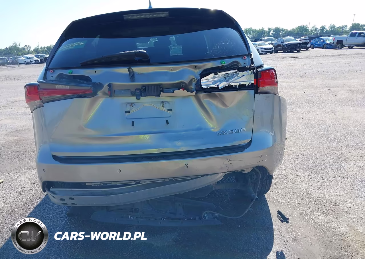 2019 Lexus Nx 300 VIN:JTJYARBZ2K2148719 - 6