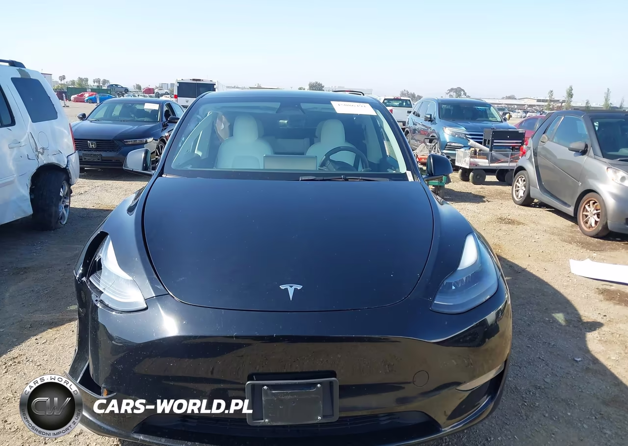 2023 Tesla Model Y Performance Dual Motor All-Wheel Drive VIN:7SAYGDEF4PF624014 - 11