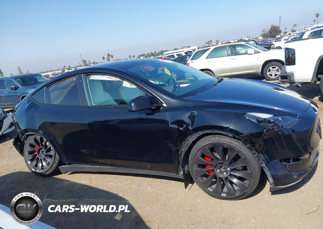 2023 Tesla Model Y Performance Dual Motor All-Wheel Drive VIN:7SAYGDEF4PF624014 - 12