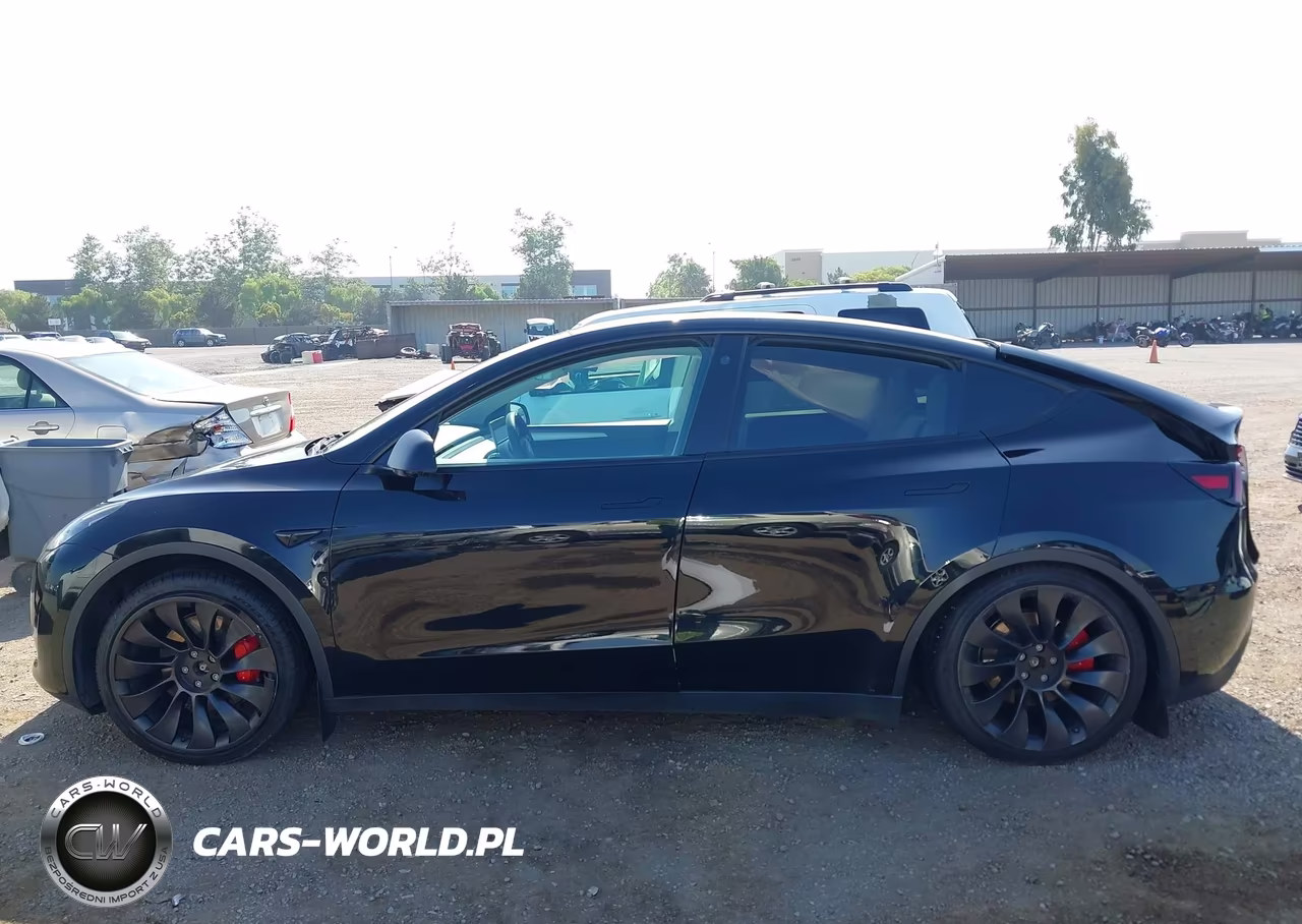 2023 Tesla Model Y Performance Dual Motor All-Wheel Drive VIN:7SAYGDEF4PF624014 - 13