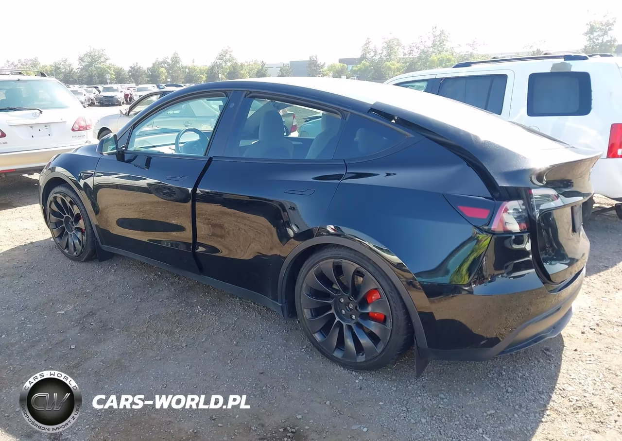 2023 Tesla Model Y Performance Dual Motor All-Wheel Drive VIN:7SAYGDEF4PF624014 - 3