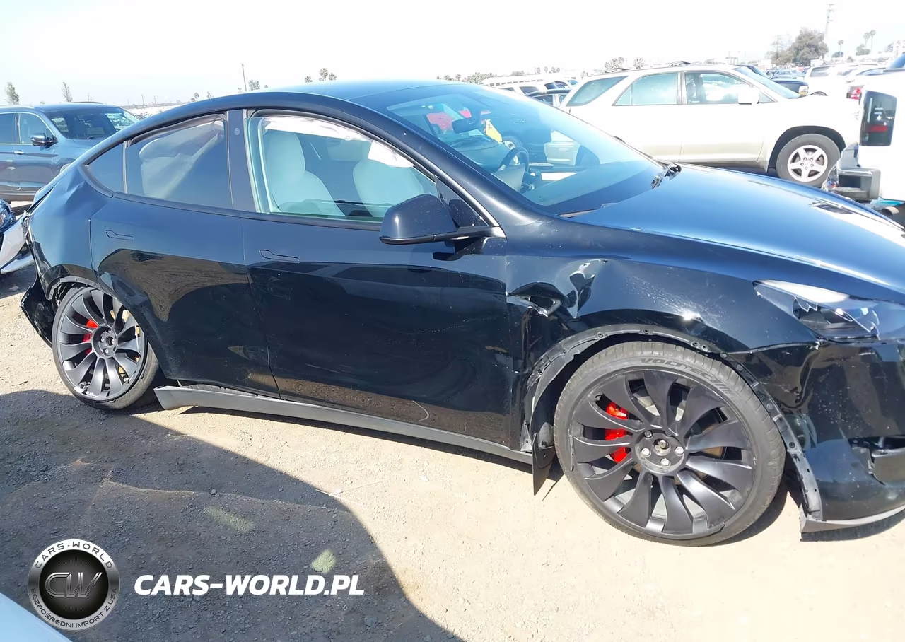2023 Tesla Model Y Performance Dual Motor All-Wheel Drive VIN:7SAYGDEF4PF624014 - 6
