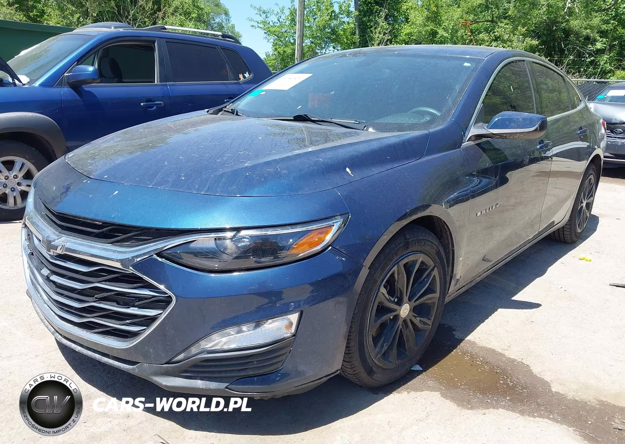 2019 Chevrolet Malibu Lt VIN:1G1ZD5ST1KF150935 - 2