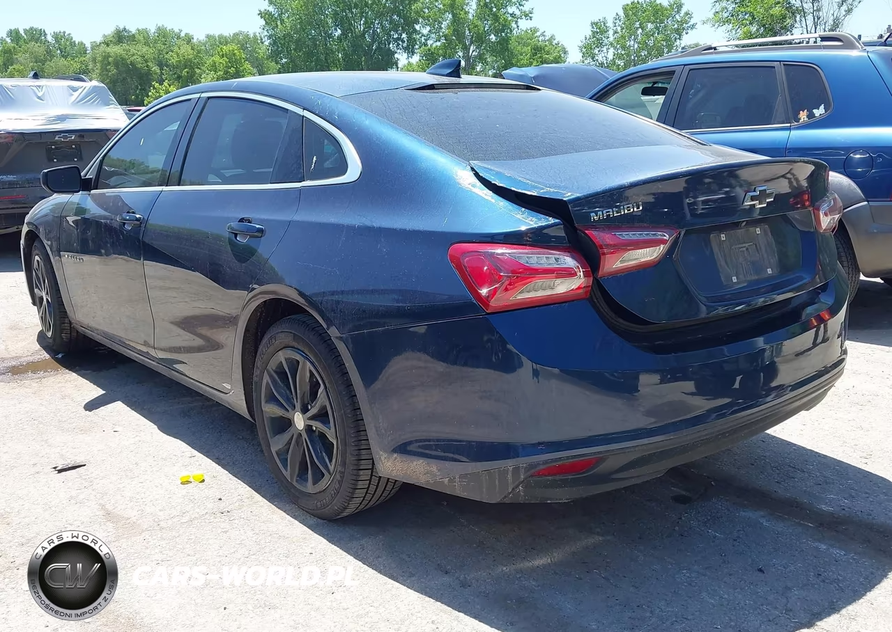 2019 Chevrolet Malibu Lt VIN:1G1ZD5ST1KF150935 - 3