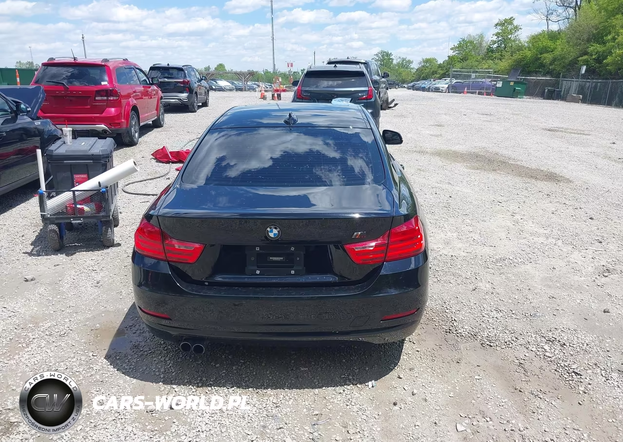 2015 BMW 428I xDrive VIN:WBA3N5C59FK484554 - 17