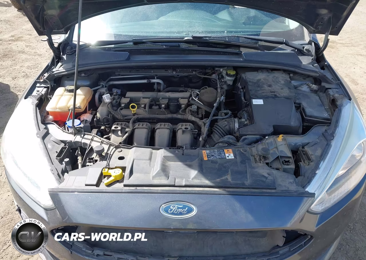 2015 Ford Focus Se VIN:1FADP3K22FL351051 - 10