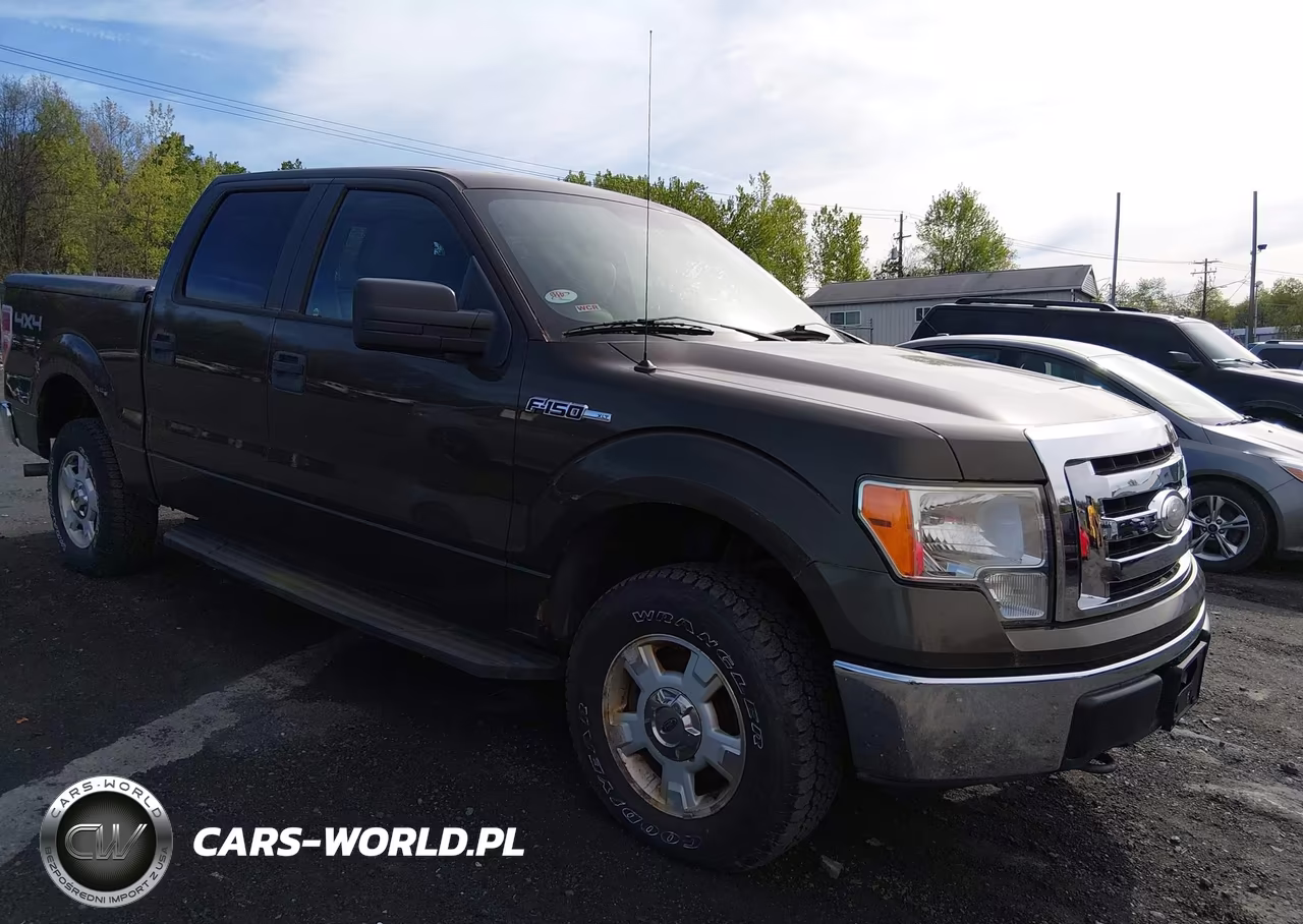 2009 Ford F-150 Xl-Xlt