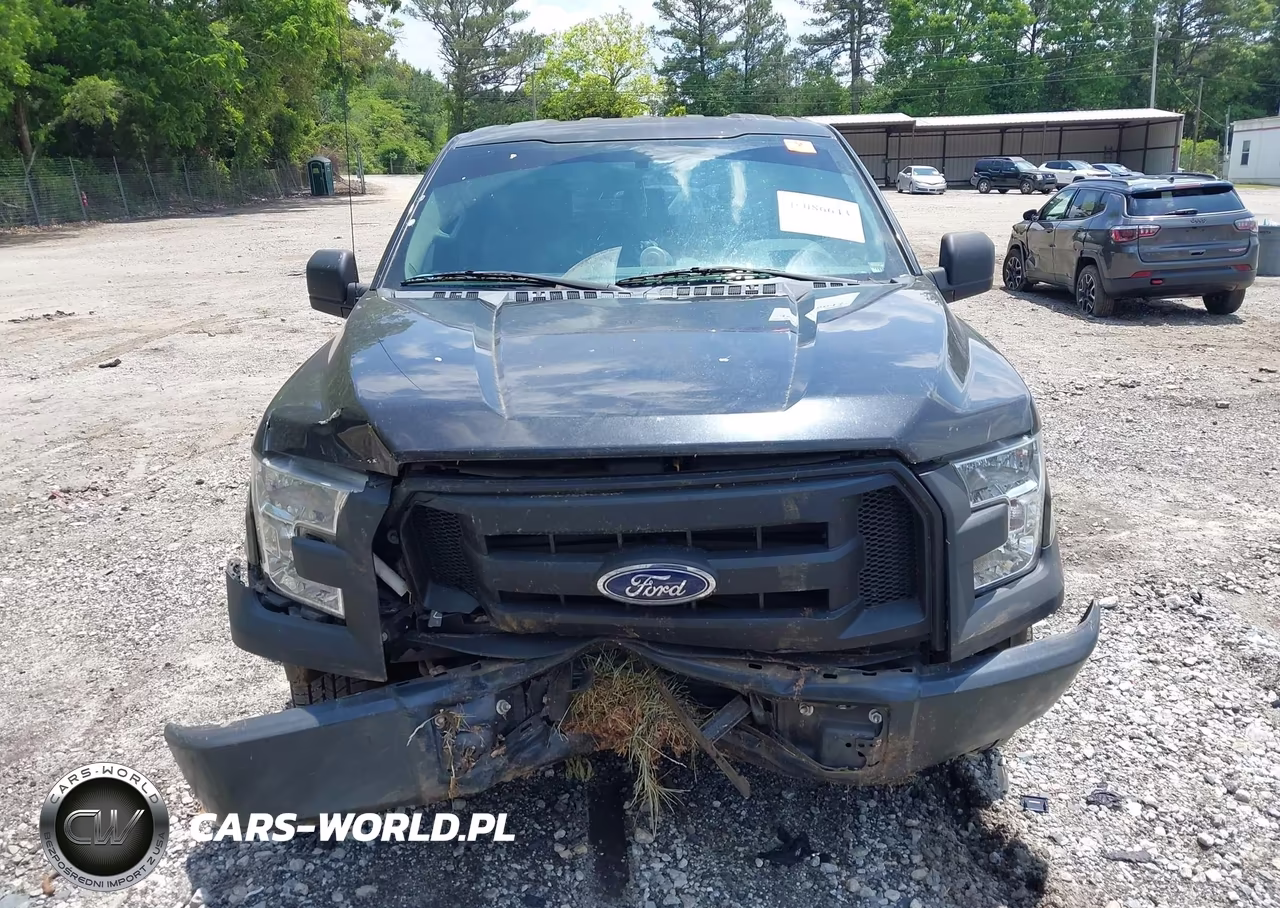 2015 Ford F-150 Xl VIN:1FTEX1CP4FKD19883 - 12