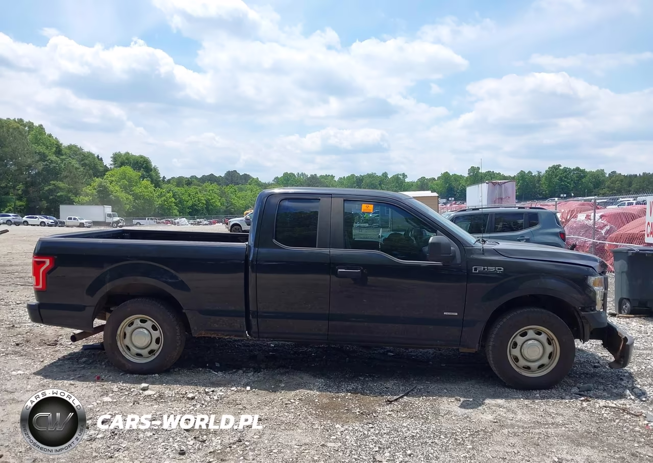 2015 Ford F-150 Xl VIN:1FTEX1CP4FKD19883 - 13
