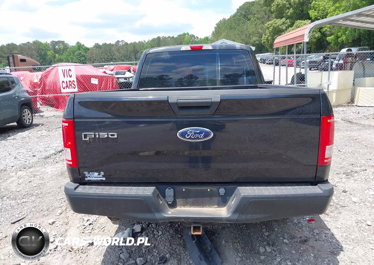 2015 Ford F-150 Xl VIN:1FTEX1CP4FKD19883 - 16