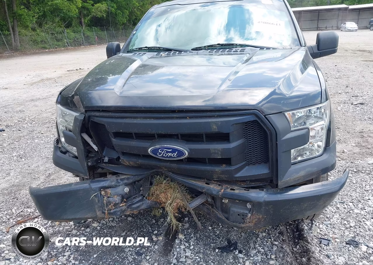 2015 Ford F-150 Xl VIN:1FTEX1CP4FKD19883 - 6